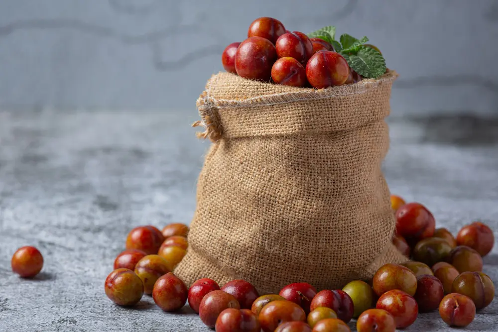 Tomato Grow Bags
